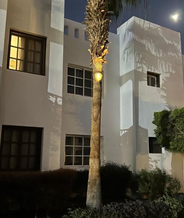 Photo of Others in El Hadaba