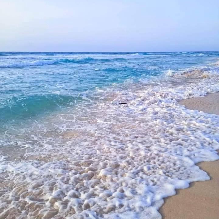 Photo of Others in Borg el Arab