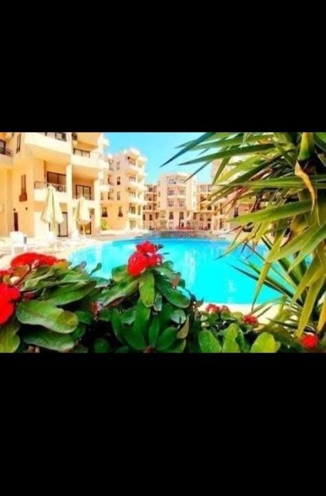 Photo of Others in El Gouna