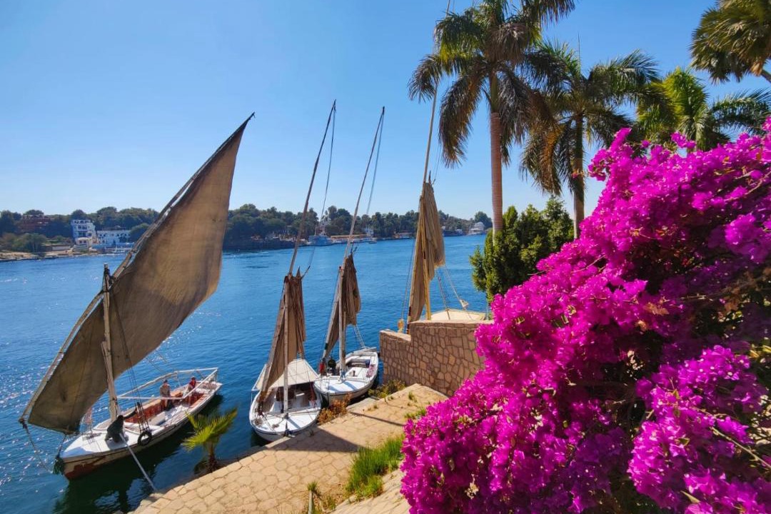 Photo of Others in Aswan