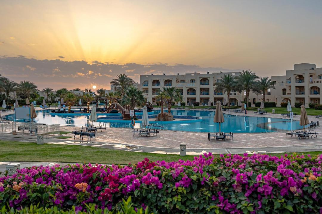 Photo of Others in Marsa Alam