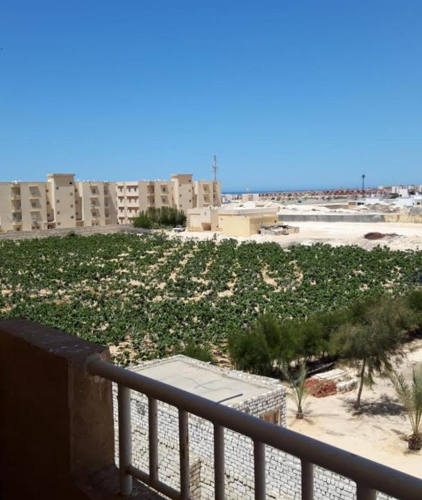 Photo of Others in Borg el Arab