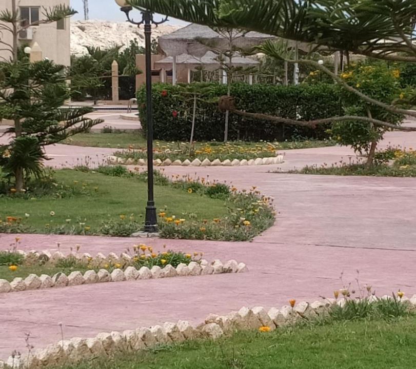 Photo of Others in Borg el Arab