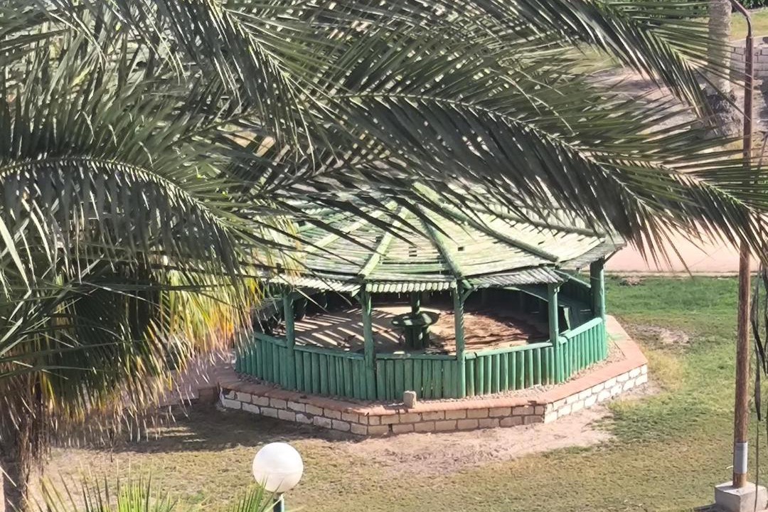 Photo of Others in Marina El Alamein
