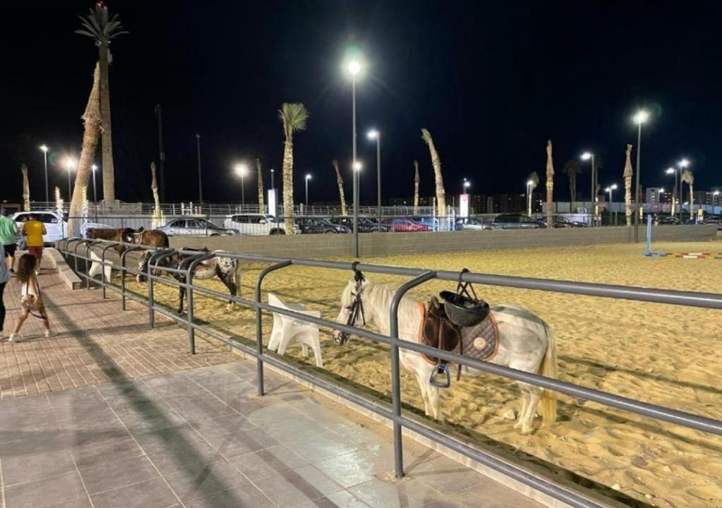 Photo of Others in Marina El Alamein