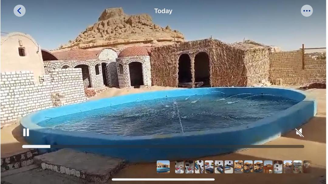 Photo of Others in Siwa