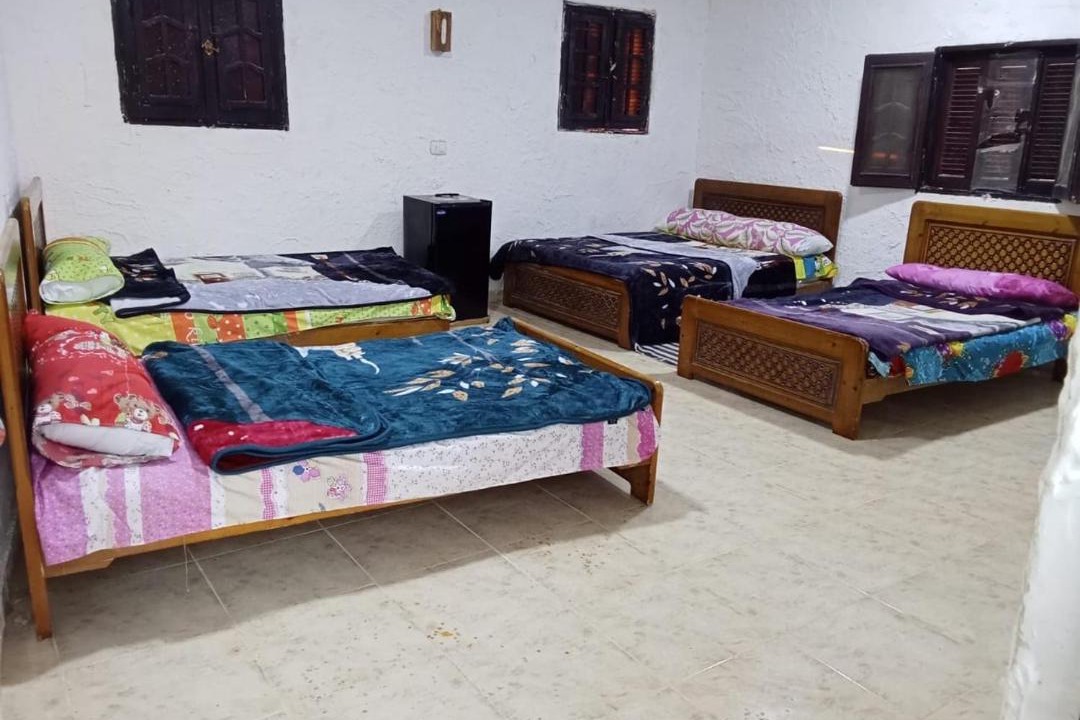 Photo of Others in Siwa