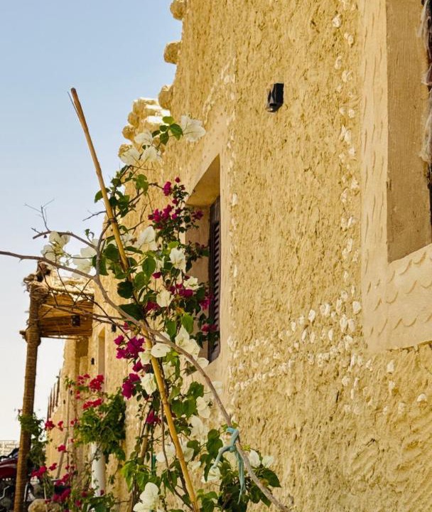 Photo of Others in Siwa