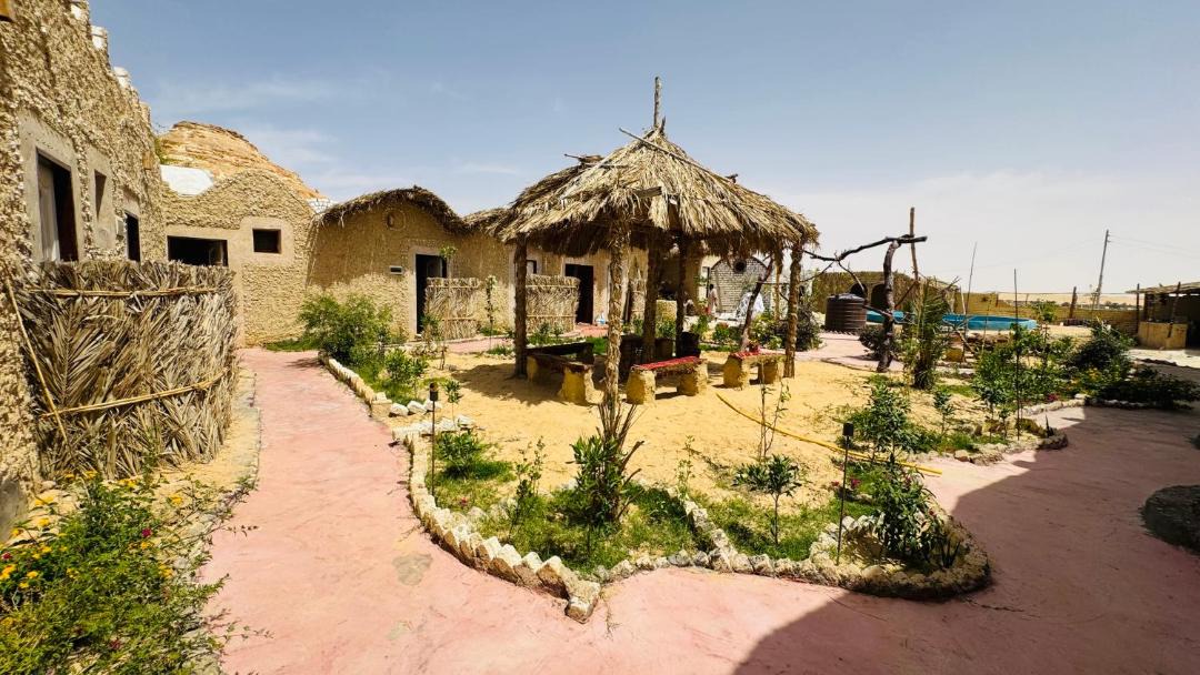Photo of Others in Siwa