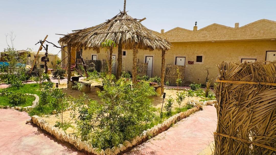 Photo of Others in Siwa