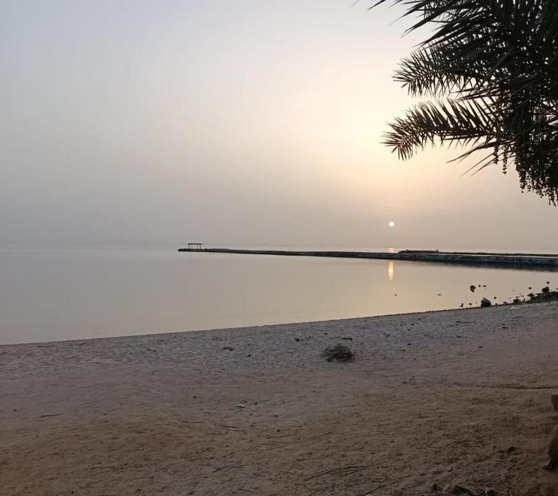 Photo of Others in Al Ahyaa