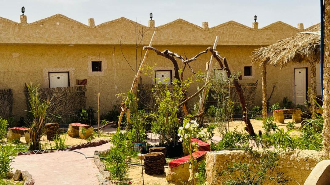 Photo of Others in Siwa