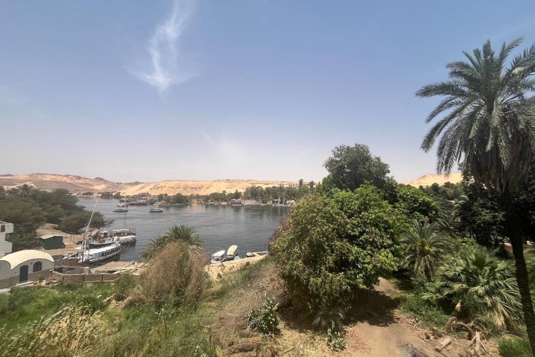 Photo of Others in Aswan