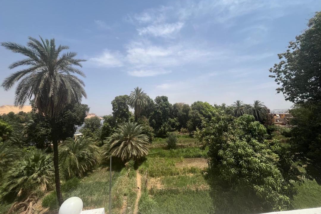 Photo of Others in Aswan