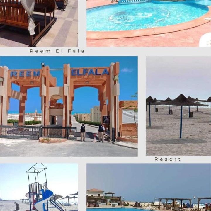 Photo of Others in Dawwar Saqr