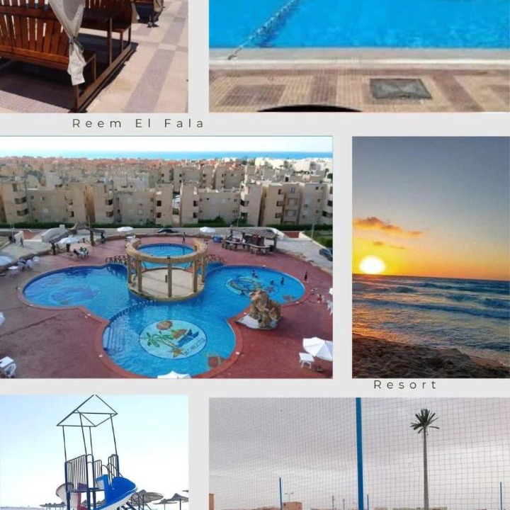 Photo of Others in Dawwar Saqr