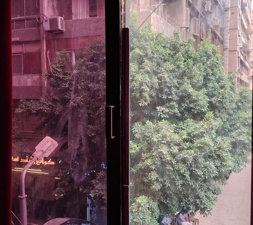 Photo of Others in Zamalek