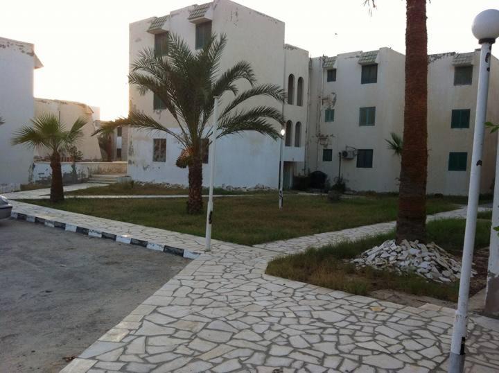 Photo of Others in Al Arish