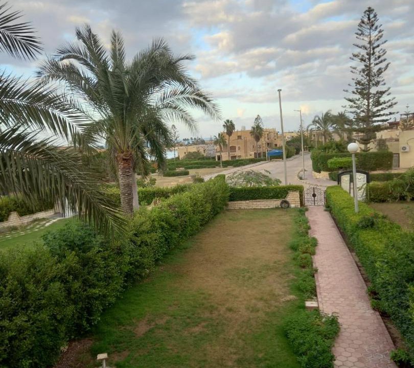Photo of Others in Marina El Alamein
