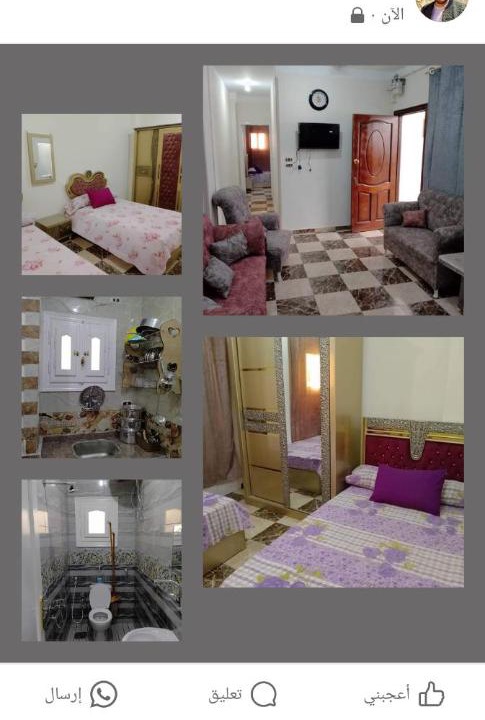 Photo of Others in Marsa Matruh