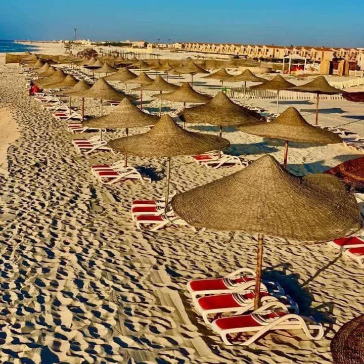 Photo of Others in Borg el Arab