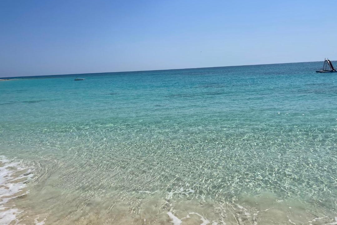 Photo of Others in Alexandria - Mediterranean Coast