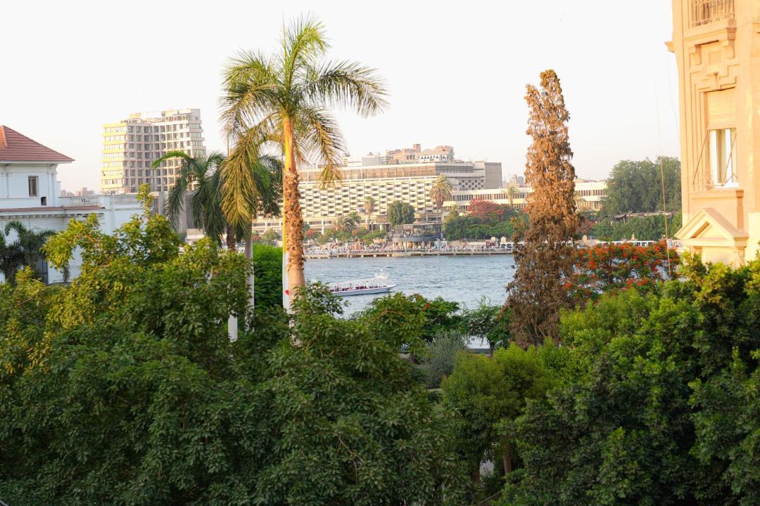 Photo of Others in Zamalek