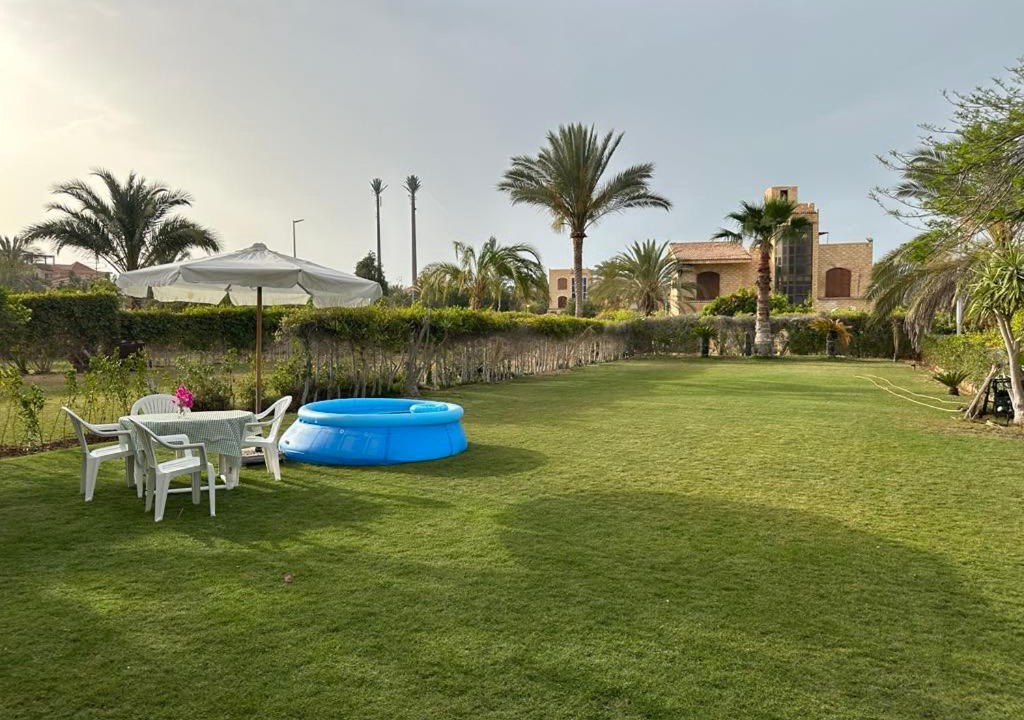 Photo of Others in Marina El Alamein