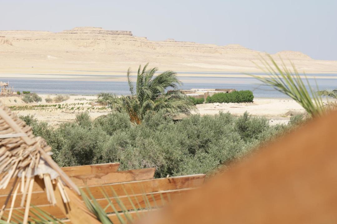 Photo of Others in Al Fayoum