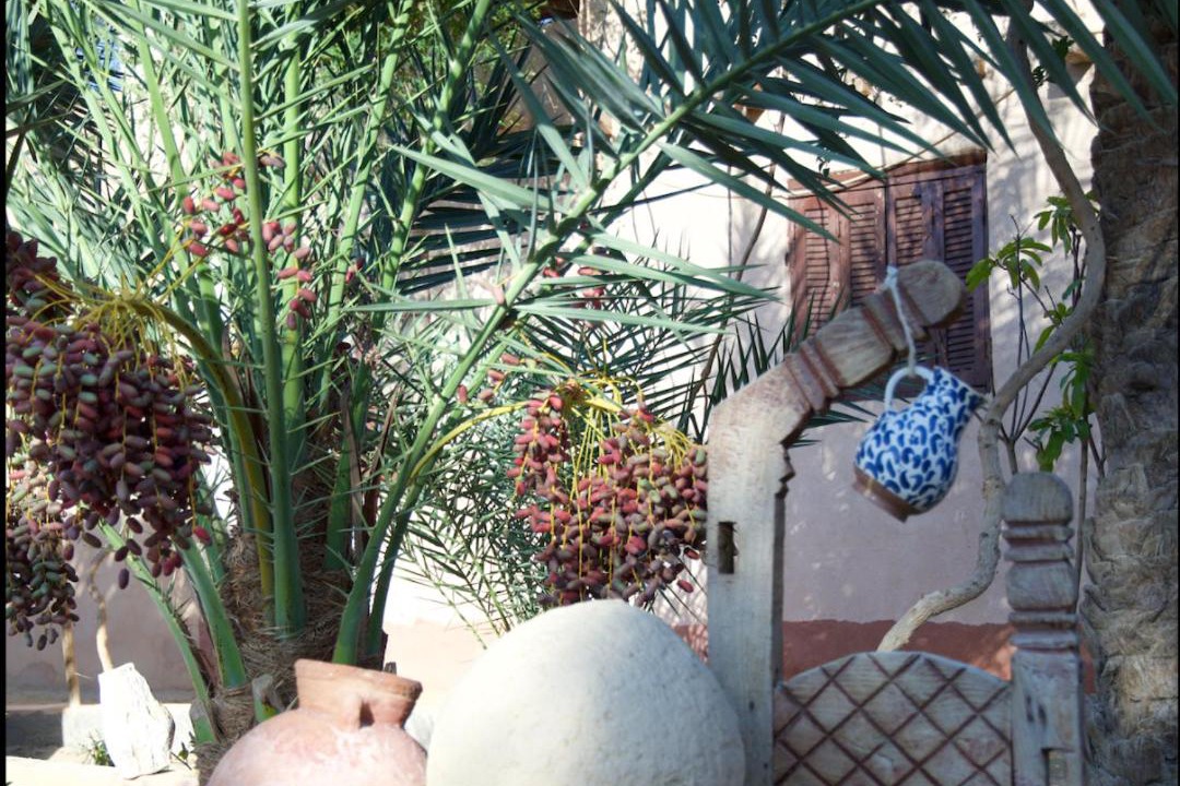 Photo of Others in Al Fayoum