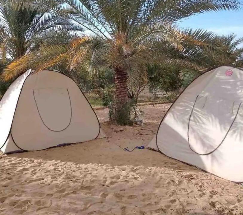 Photo of Others in Siwa