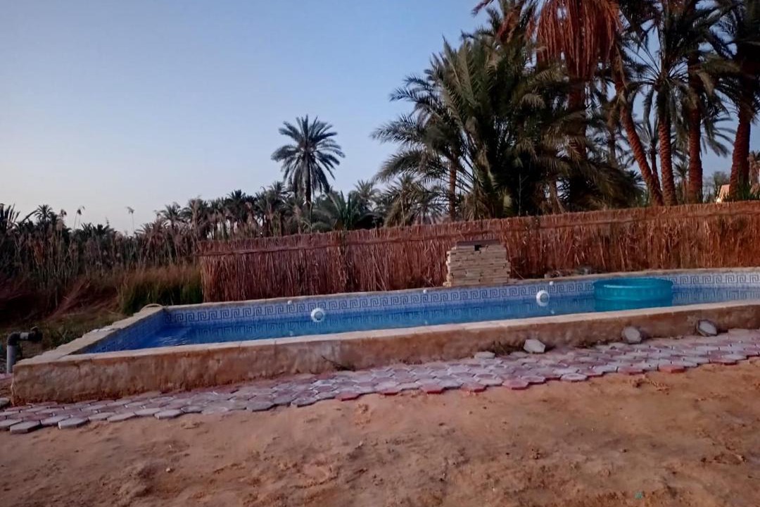 Photo of Others in Siwa
