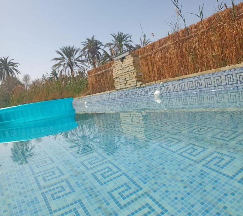 Photo of Others in Siwa