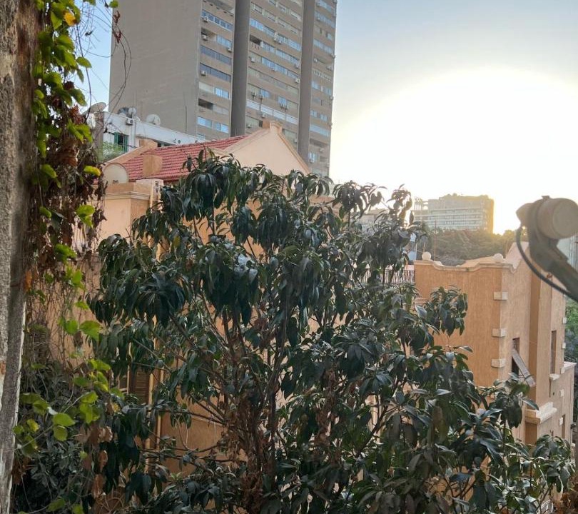 Photo of Others in Gezira