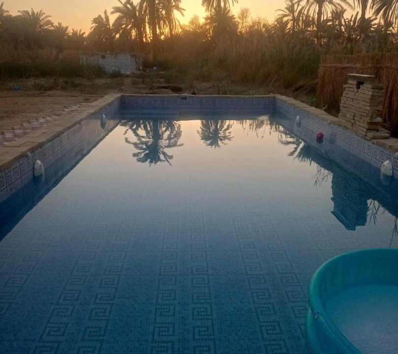 Photo of Others in Siwa