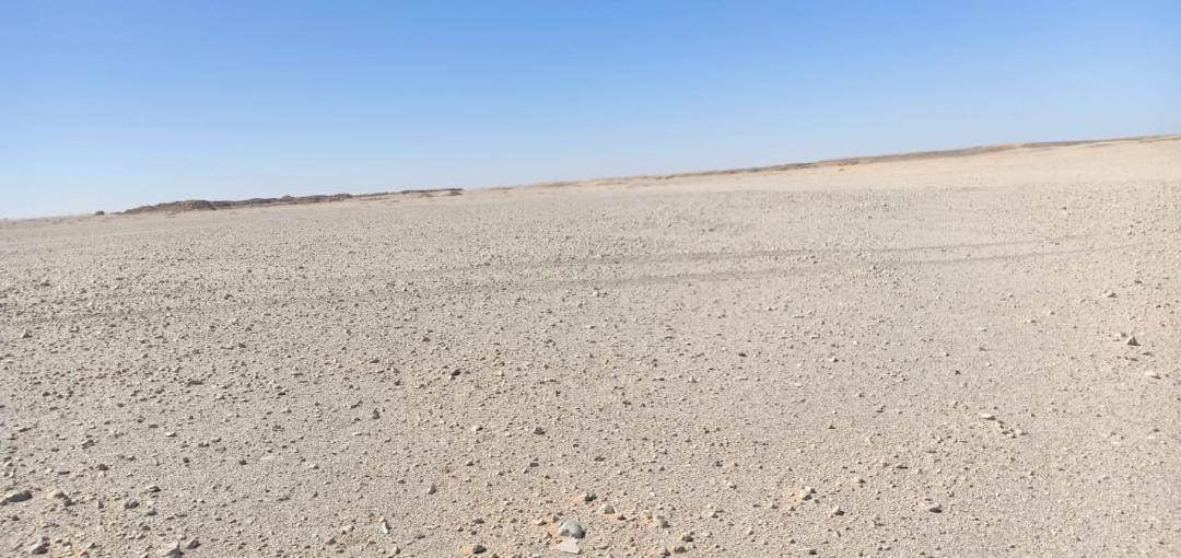 Photo of Others in Dakhla