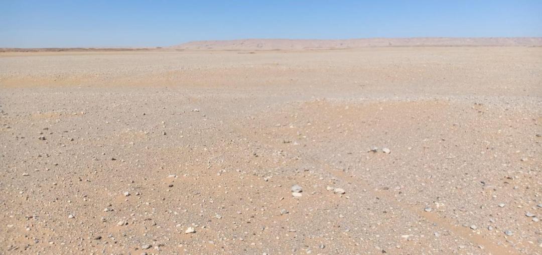 Photo of Others in Dakhla