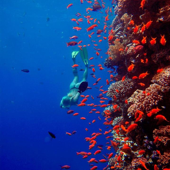 Photo of Others in Soma Bay