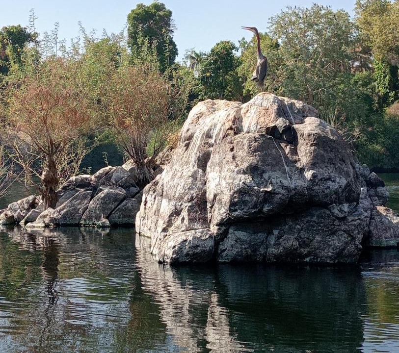 Photo of Others in Aswan