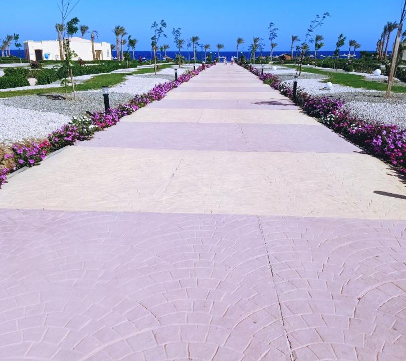 Photo of Others in Marsa Alam