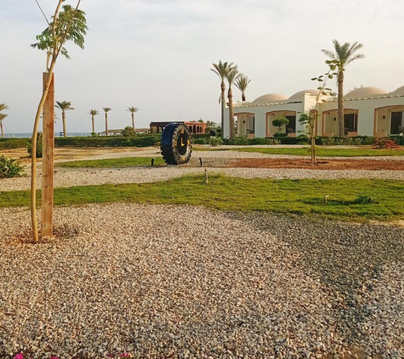Photo of Others in Marsa Alam