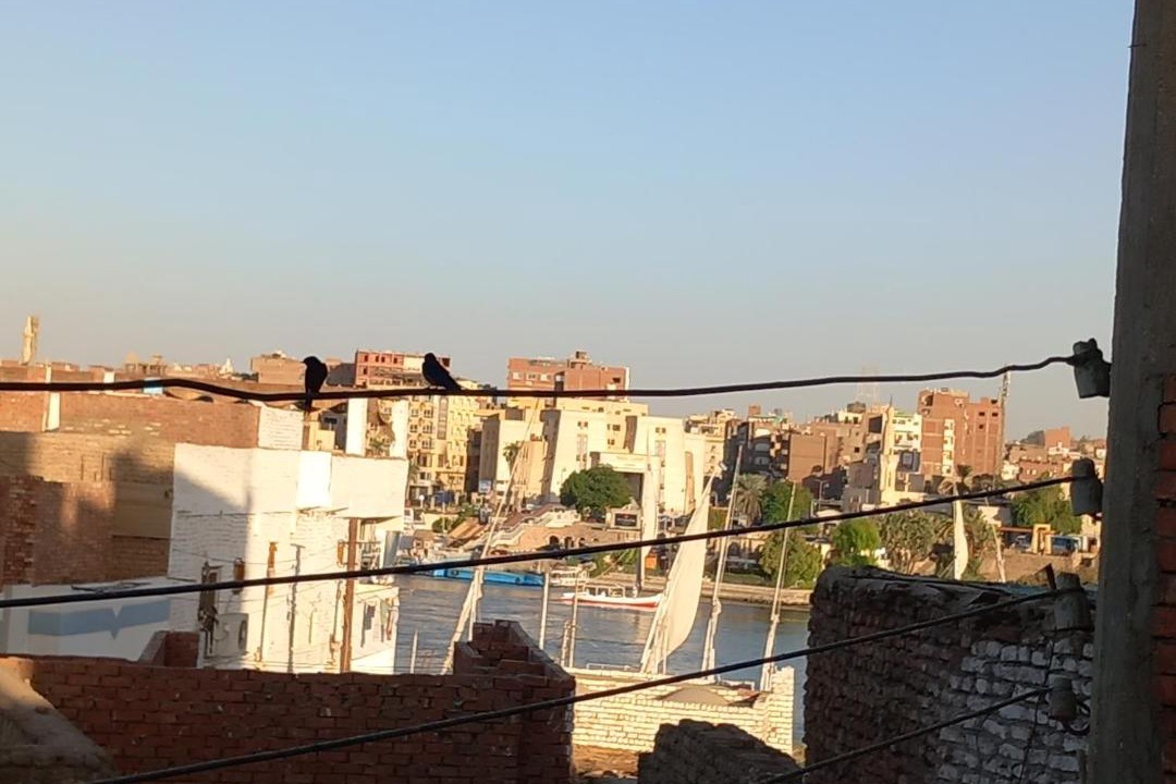 Photo of Others in Aswan