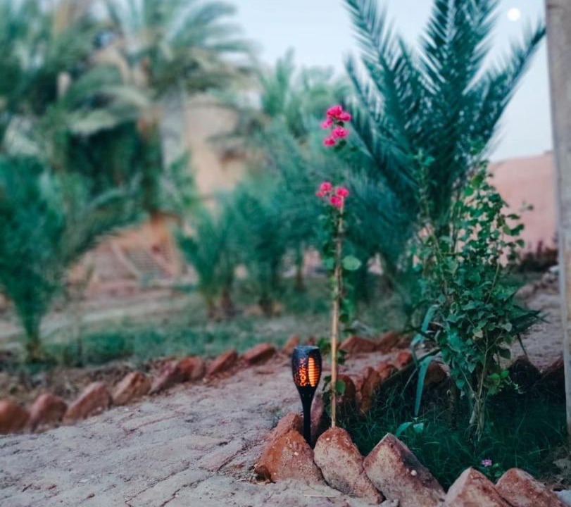 Photo of Others in Luxor