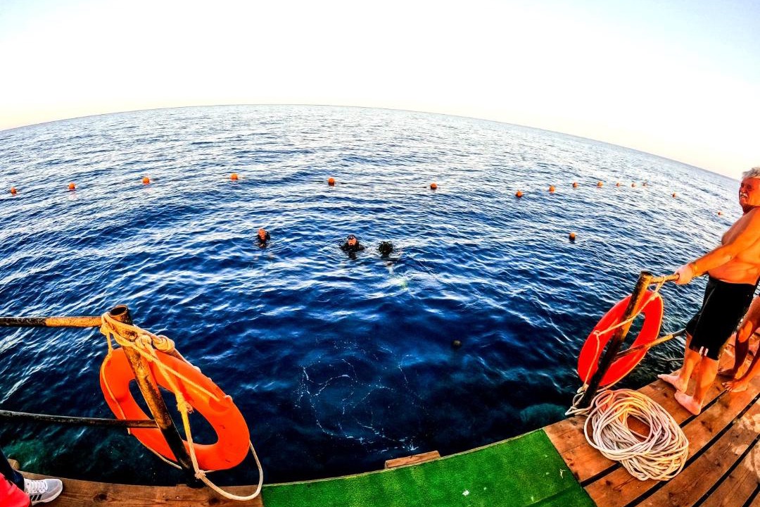 Photo of Others in Marsa Alam