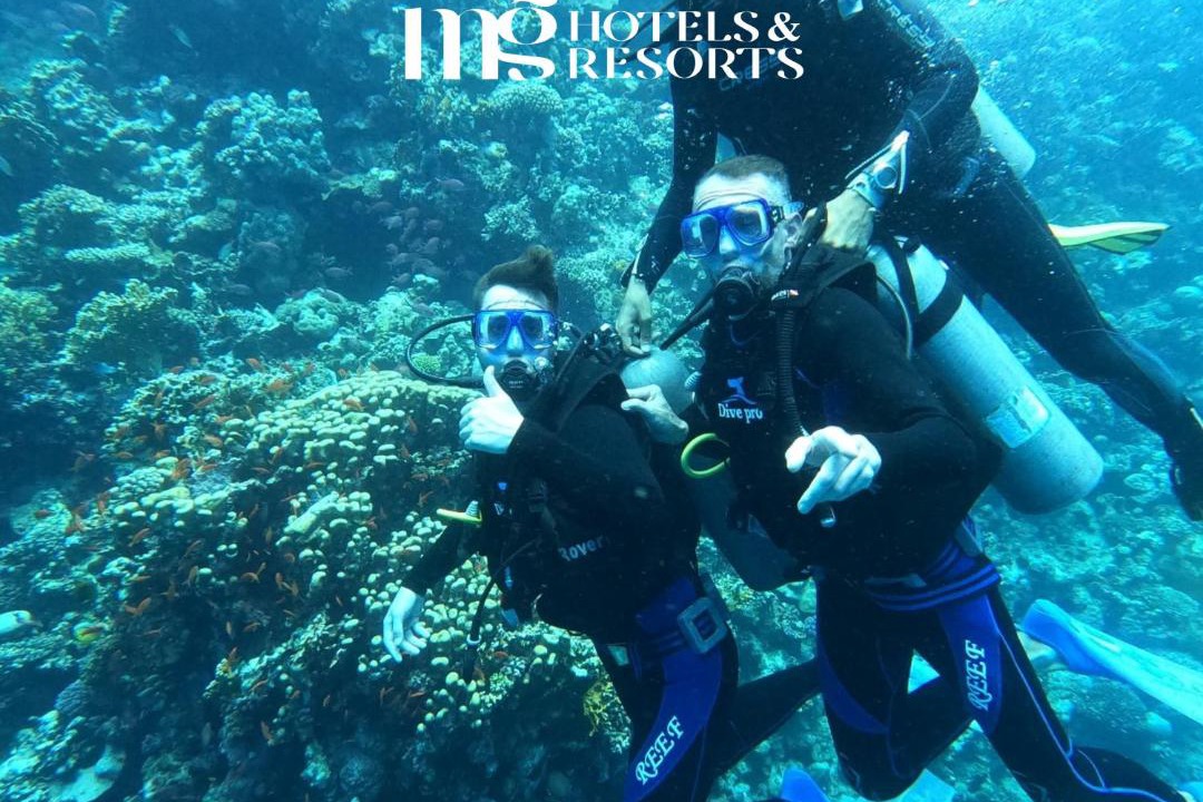 Photo of Others in Marsa Alam