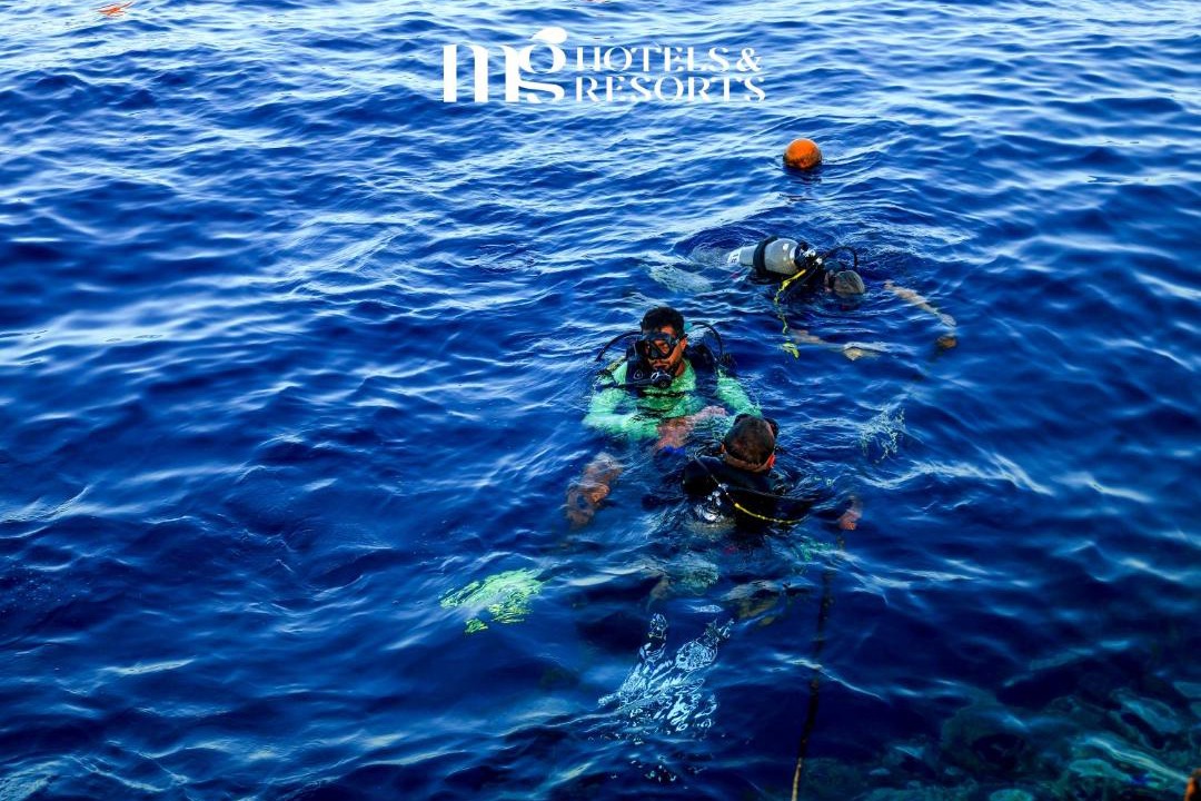 Photo of Others in Marsa Alam