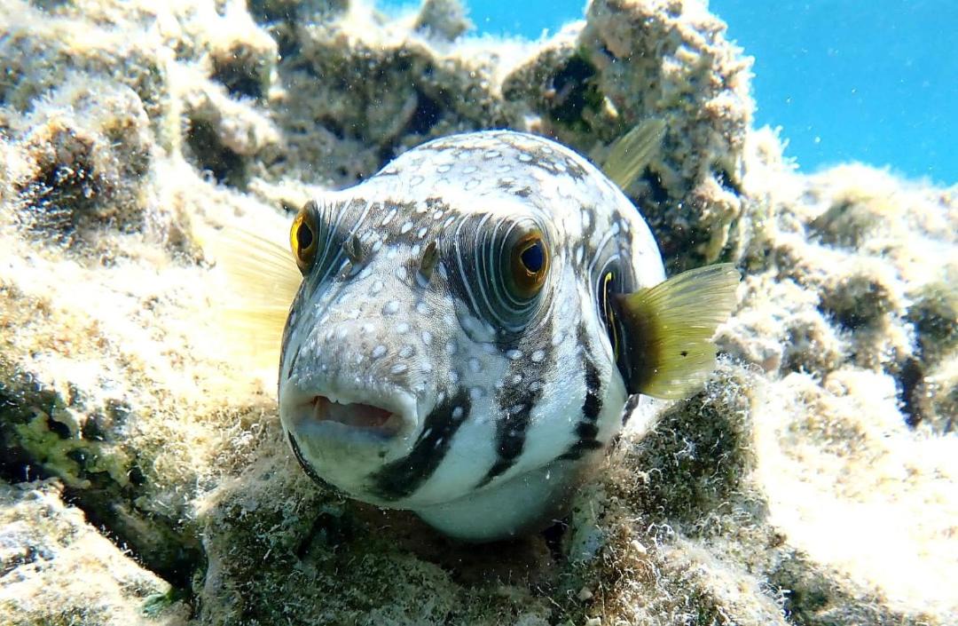 Photo of Others in Port Ghalib