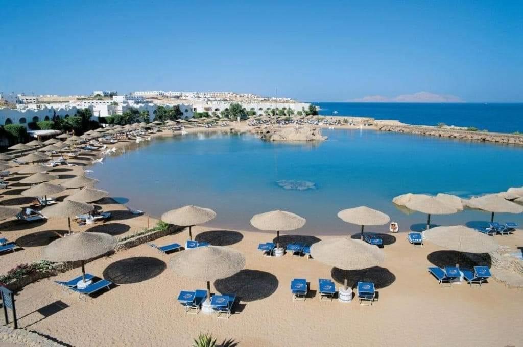 Photo of Others in Sharm El Sheikh