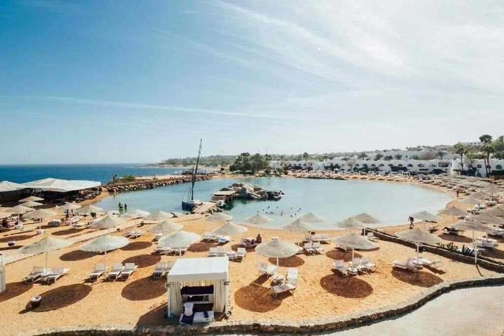 Photo of Others in Sharm El Sheikh