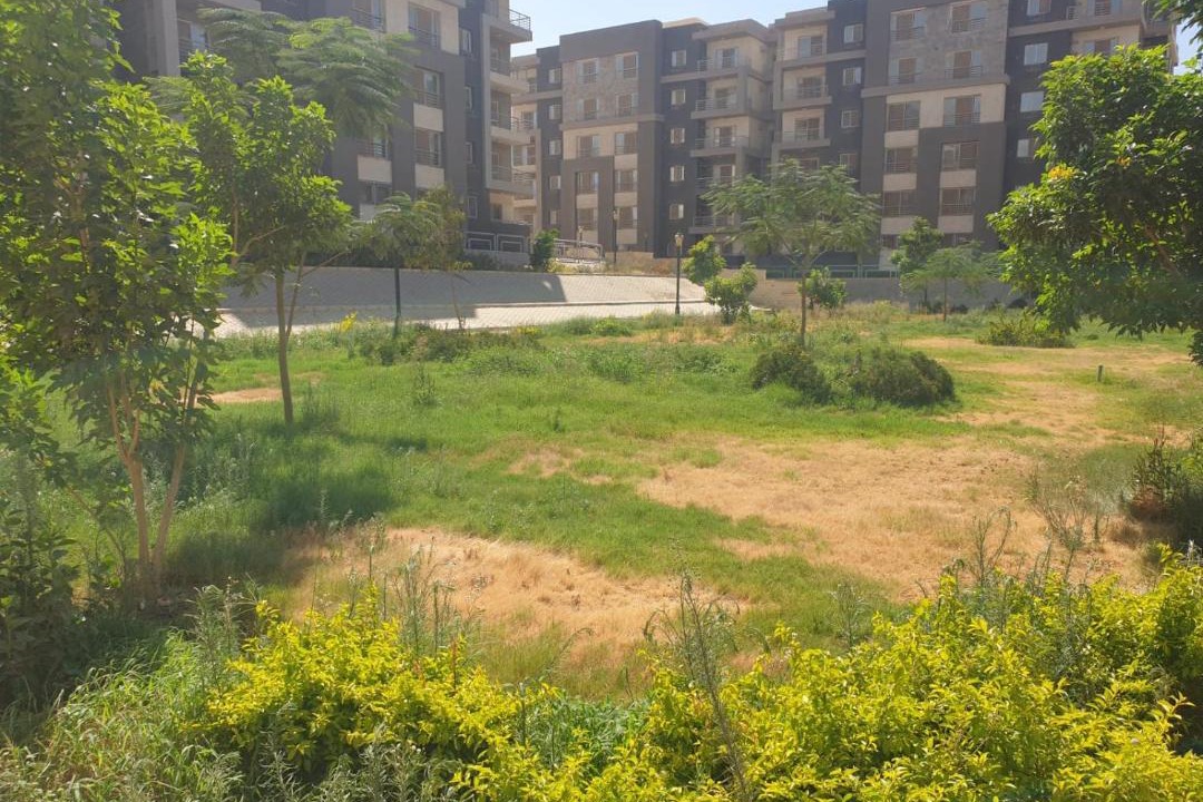 Photo of Others in New Cairo